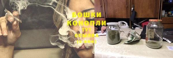 индика Лабытнанги