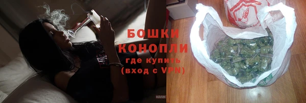 индика Лабытнанги