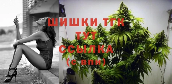 дживик Лагань