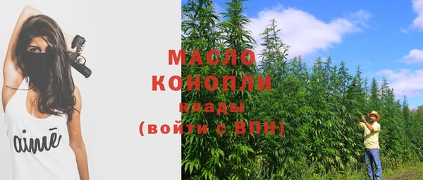 индика Лабытнанги