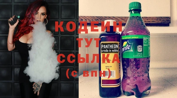 индика Лабытнанги