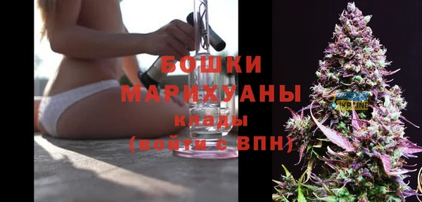 дживик Лагань