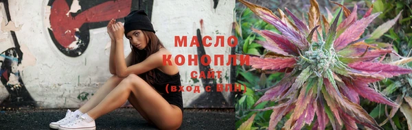 индика Лабытнанги