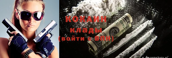 индика Лабытнанги