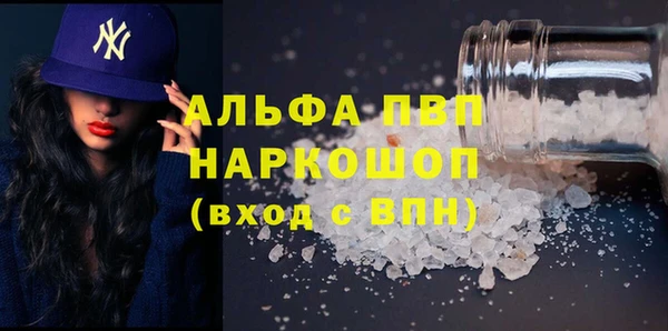 индика Лабытнанги