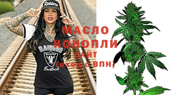 мдпв Ладушкин
